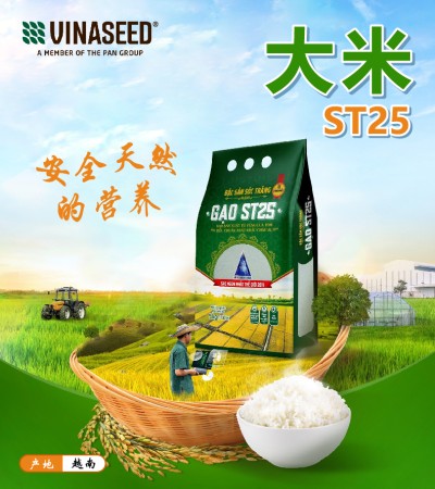 VINASEED 大米 ST25 3kg 袋装 非转基因