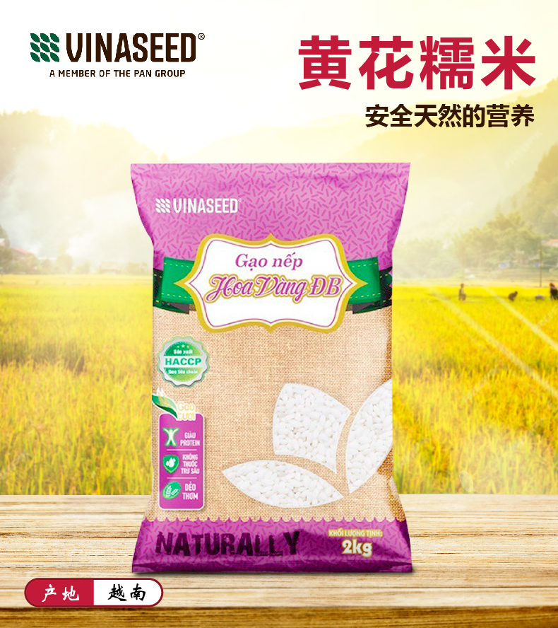 VINASEED ĐB 黄花糯米 2kg